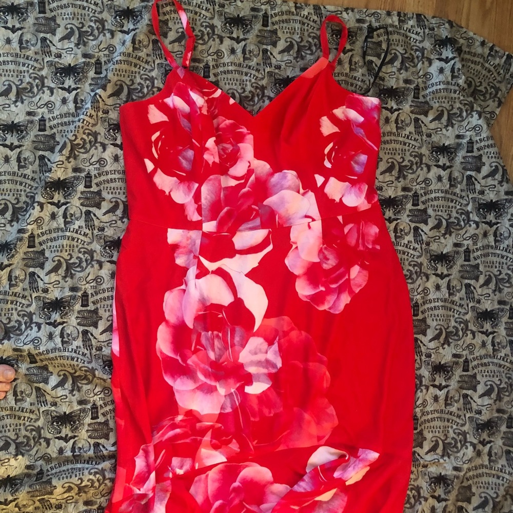 City chic tango dress with high low bottom